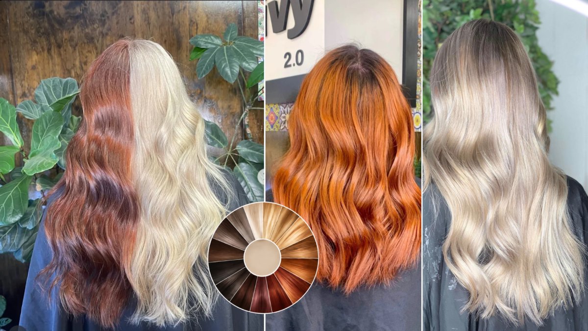The Colour Wheel for Hairdressers: Mastering the Art of Toning and Correction